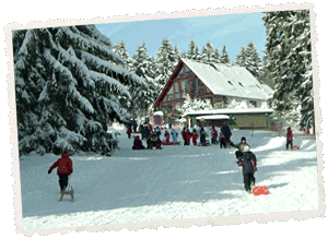 Winter-Oberhof